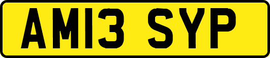 AM13SYP