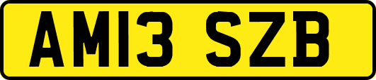AM13SZB
