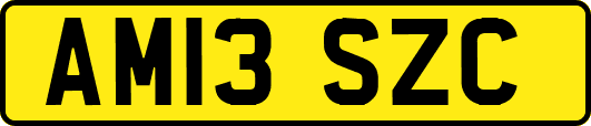 AM13SZC