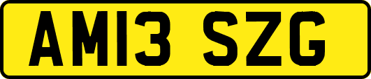 AM13SZG
