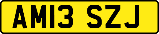 AM13SZJ