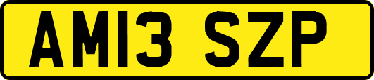 AM13SZP