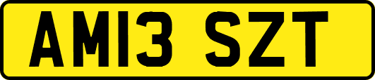 AM13SZT