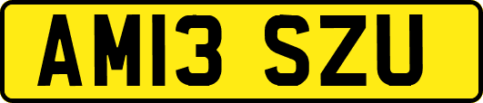 AM13SZU
