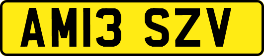 AM13SZV