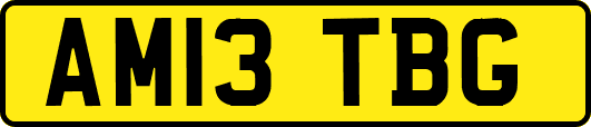 AM13TBG