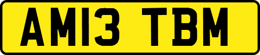 AM13TBM