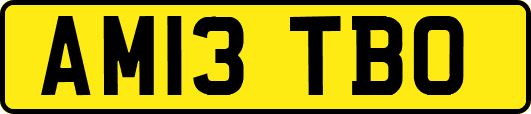 AM13TBO