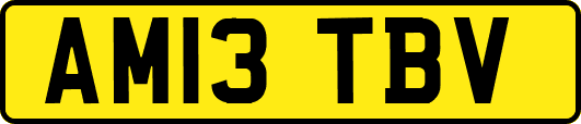AM13TBV