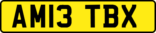 AM13TBX