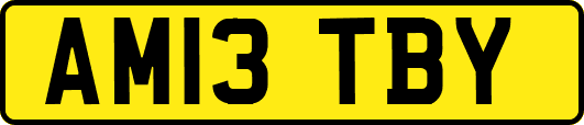 AM13TBY