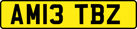 AM13TBZ