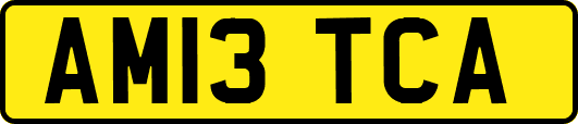 AM13TCA