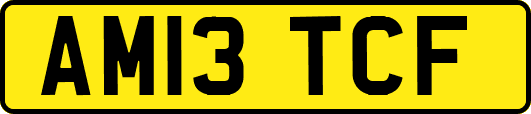 AM13TCF