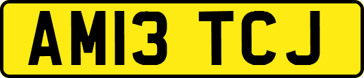 AM13TCJ