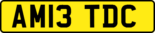 AM13TDC