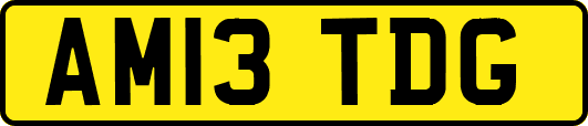 AM13TDG