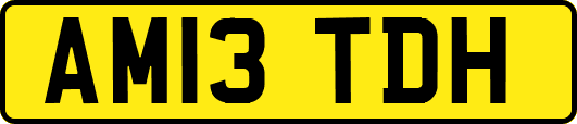 AM13TDH