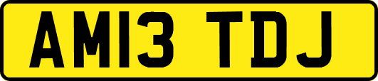 AM13TDJ