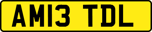 AM13TDL