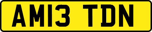 AM13TDN