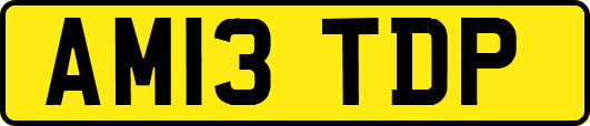 AM13TDP