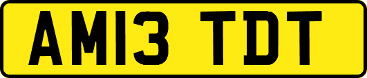 AM13TDT