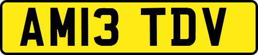 AM13TDV