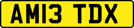 AM13TDX