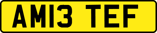 AM13TEF