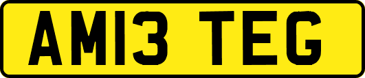 AM13TEG