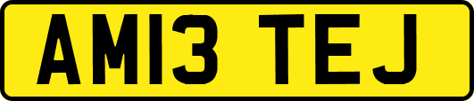 AM13TEJ