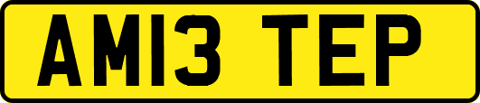 AM13TEP