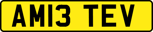 AM13TEV