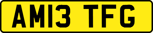 AM13TFG