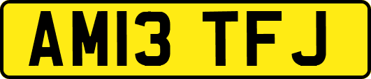 AM13TFJ