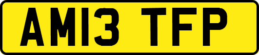 AM13TFP