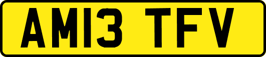 AM13TFV
