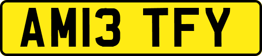 AM13TFY