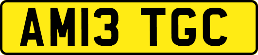 AM13TGC