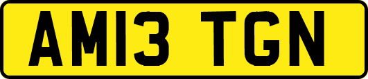 AM13TGN