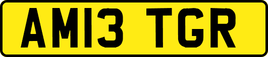 AM13TGR