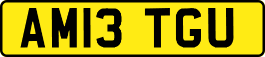 AM13TGU