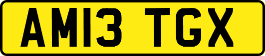 AM13TGX