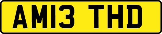 AM13THD