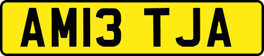 AM13TJA