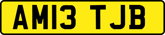 AM13TJB