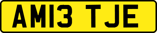 AM13TJE