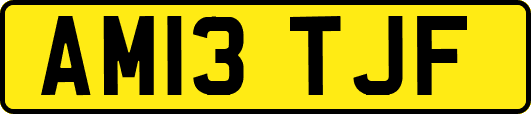 AM13TJF