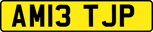 AM13TJP